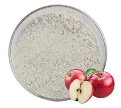 product-323-283 Phloretin Powder 1