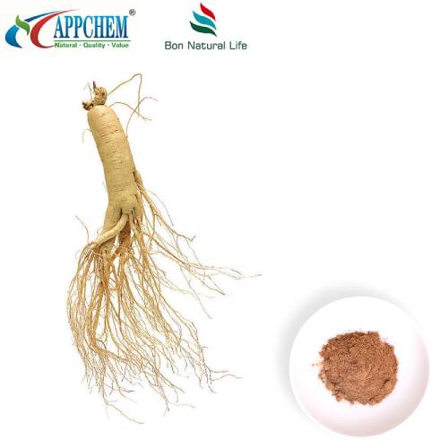 Panax Ginseng Ekstresi Tozu