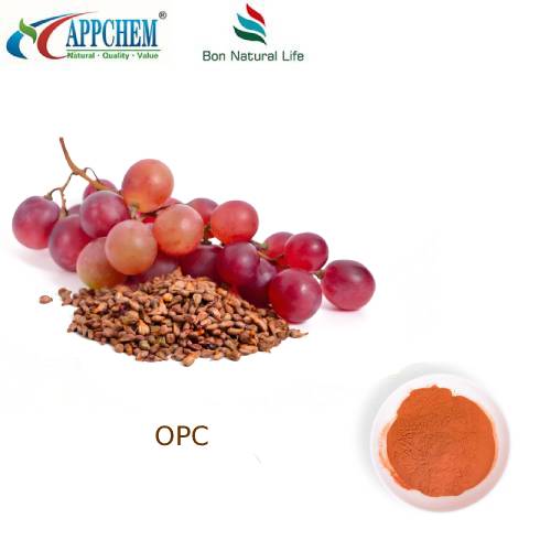 Üzüm Çekirdeği Ekstresi 95 OPC