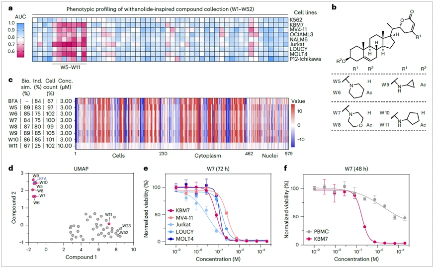 withania somnifera withania somnifera