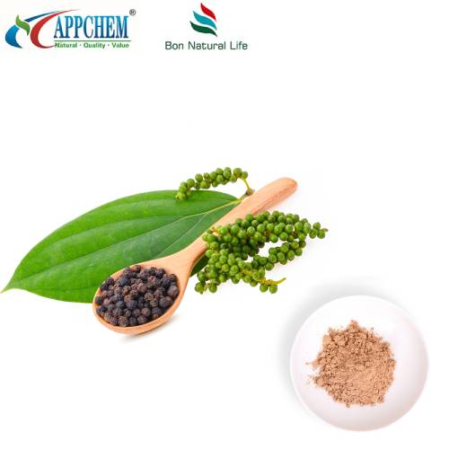 Ligustrum Meyve Özü Tozu