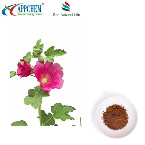 Hatmi Yaprağı Ekstraktı