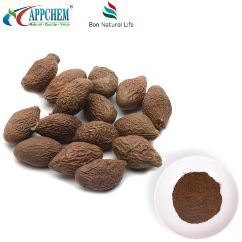 Doğal Semen Sterculiae Lychnophorae Özü