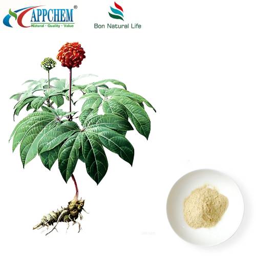 Notoginseng Radix Et Rhizoma Özü