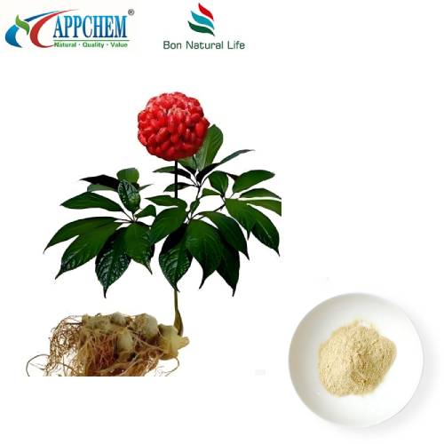 Notoginseng Kökü Ekstresi