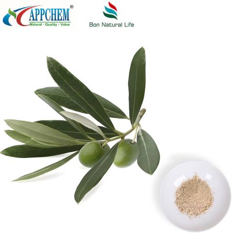 Zeytin Yaprağı Ekstresi Tozu