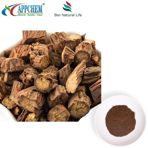 Salvia Miltiorrhiza Özü Tozu
