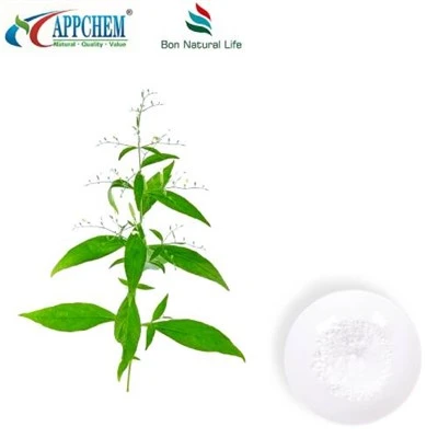 Andrographis Paniculata Ekstresi Andrographolide