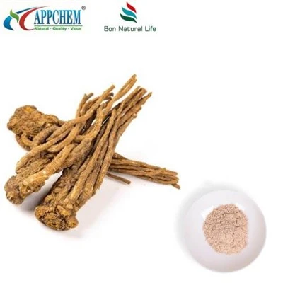 Angelica Sinensis Özü Tozu
