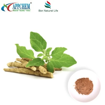 Ashwagandha Ekstrakt Tozu (Withanolidler) 30655-48-2 üretim