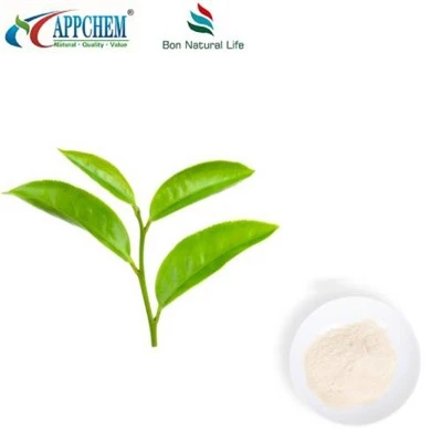 Yeşil Çay Ekstraktı L-Theanine