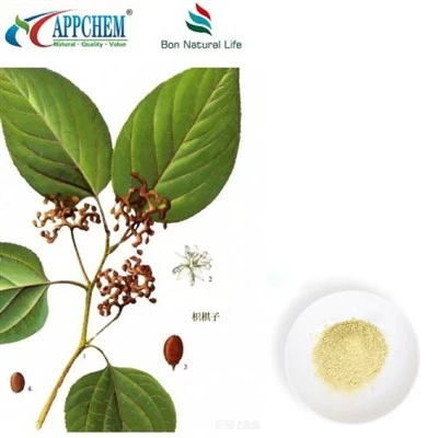 Hovenia Dulcis Özü Tozu