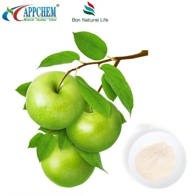 HPLC90% Filoretin Tozu COA TDS