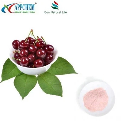 Montmorency Tart Vişne Tozu