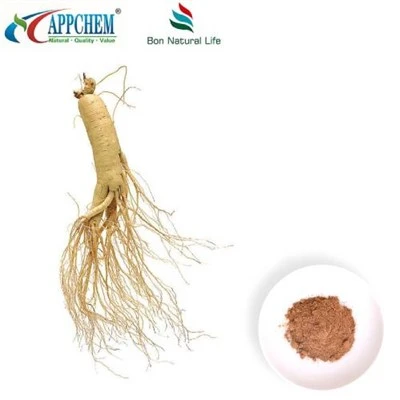 Panax Ginseng Ekstresi Tozu