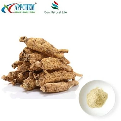 Panax Quinquefolius Özü