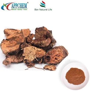 Rhodiola Rosea Özü Tozu