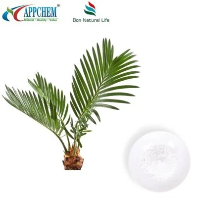 Saw Palmetto Özü Tozu